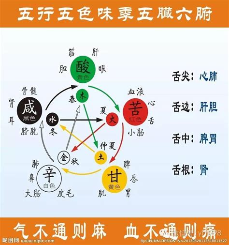 蓝色五行|蓝色代表什么寓意 蓝色在五行中属什么